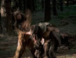 extant_XenaWarriorPrincess_4x01-AdventuresInTheSinTrade_01202