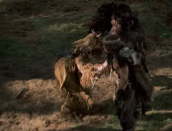 extant_XenaWarriorPrincess_4x01-AdventuresInTheSinTrade_01211