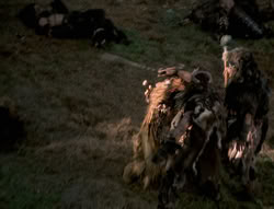 extant_XenaWarriorPrincess_4x01-AdventuresInTheSinTrade_01218