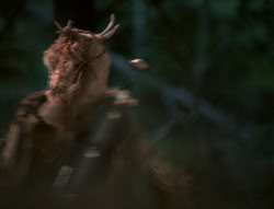 extant_XenaWarriorPrincess_4x01-AdventuresInTheSinTrade_01230