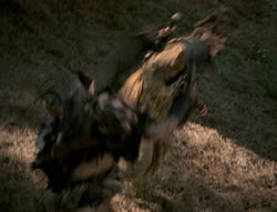extant_XenaWarriorPrincess_4x01-AdventuresInTheSinTrade_01236