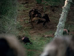 extant_XenaWarriorPrincess_4x01-AdventuresInTheSinTrade_01245