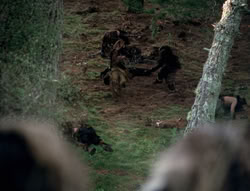 extant_XenaWarriorPrincess_4x01-AdventuresInTheSinTrade_01246