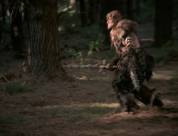 extant_XenaWarriorPrincess_4x01-AdventuresInTheSinTrade_01254