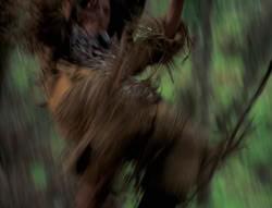 extant_XenaWarriorPrincess_4x01-AdventuresInTheSinTrade_01259