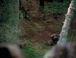 extant_XenaWarriorPrincess_4x01-AdventuresInTheSinTrade_01287