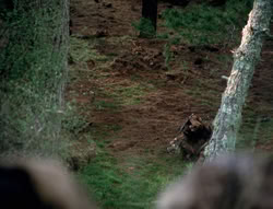 extant_XenaWarriorPrincess_4x01-AdventuresInTheSinTrade_01288