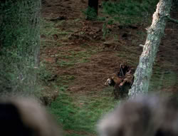 extant_XenaWarriorPrincess_4x01-AdventuresInTheSinTrade_01290