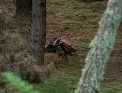 extant_XenaWarriorPrincess_4x01-AdventuresInTheSinTrade_01299