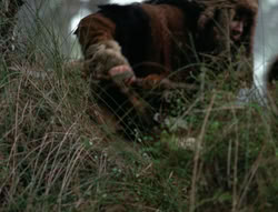 extant_XenaWarriorPrincess_4x01-AdventuresInTheSinTrade_01304