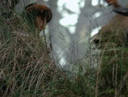 extant_XenaWarriorPrincess_4x01-AdventuresInTheSinTrade_01305