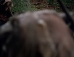 extant_XenaWarriorPrincess_4x01-AdventuresInTheSinTrade_01308