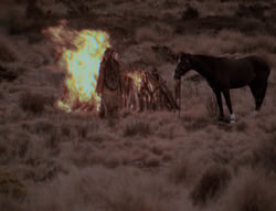 extant_XenaWarriorPrincess_4x01-AdventuresInTheSinTrade_01616
