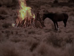 extant_XenaWarriorPrincess_4x01-AdventuresInTheSinTrade_01625