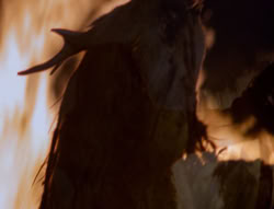extant_XenaWarriorPrincess_4x01-AdventuresInTheSinTrade_01680