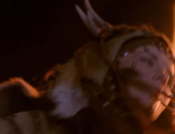 extant_XenaWarriorPrincess_4x01-AdventuresInTheSinTrade_01729