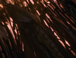 extant_XenaWarriorPrincess_4x01-AdventuresInTheSinTrade_01740