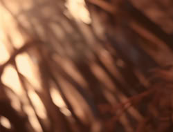 extant_XenaWarriorPrincess_4x01-AdventuresInTheSinTrade_01742