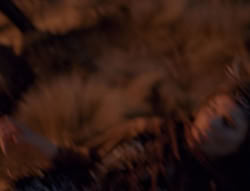 extant_XenaWarriorPrincess_4x01-AdventuresInTheSinTrade_01743