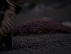 extant_XenaWarriorPrincess_4x01-AdventuresInTheSinTrade_01792