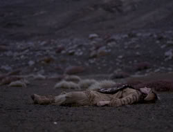 extant_XenaWarriorPrincess_4x01-AdventuresInTheSinTrade_01812