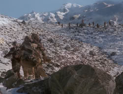extant_XenaWarriorPrincess_4x01-AdventuresInTheSinTrade_02347