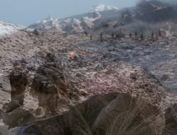 extant_XenaWarriorPrincess_4x01-AdventuresInTheSinTrade_02348