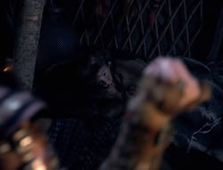 extant_XenaWarriorPrincess_4x01-AdventuresInTheSinTrade_02558