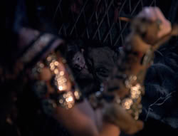 extant_XenaWarriorPrincess_4x01-AdventuresInTheSinTrade_02560