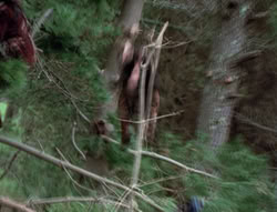extant_XenaWarriorPrincess_4x01-AdventuresInTheSinTrade_02630