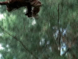 extant_XenaWarriorPrincess_4x01-AdventuresInTheSinTrade_02633