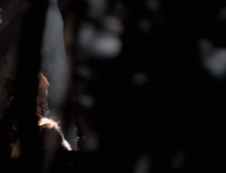 extant_XenaWarriorPrincess_4x01-AdventuresInTheSinTrade_02941