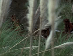 extant_XenaWarriorPrincess_4x01-AdventuresInTheSinTrade_03016