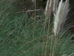 extant_XenaWarriorPrincess_4x01-AdventuresInTheSinTrade_03018