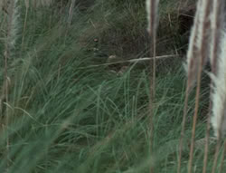 extant_XenaWarriorPrincess_4x01-AdventuresInTheSinTrade_03019