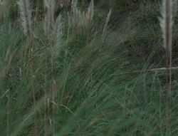 extant_XenaWarriorPrincess_4x01-AdventuresInTheSinTrade_03021