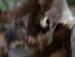 extant_XenaWarriorPrincess_4x01-AdventuresInTheSinTrade_03164
