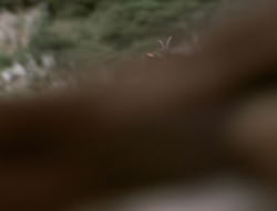 extant_XenaWarriorPrincess_4x01-AdventuresInTheSinTrade_03299