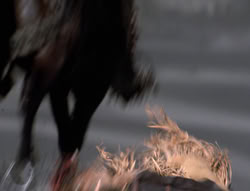 extant_XenaWarriorPrincess_4x01-AdventuresInTheSinTrade_03321