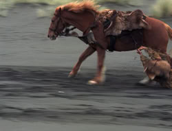 extant_XenaWarriorPrincess_4x01-AdventuresInTheSinTrade_03438