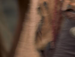 extant_XenaWarriorPrincess_4x01-AdventuresInTheSinTrade_03444