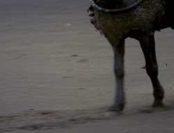 extant_XenaWarriorPrincess_4x01-AdventuresInTheSinTrade_03499