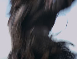 extant_XenaWarriorPrincess_4x01-AdventuresInTheSinTrade_03512