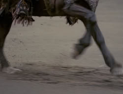extant_XenaWarriorPrincess_4x01-AdventuresInTheSinTrade_03525