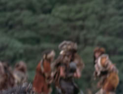extant_XenaWarriorPrincess_4x01-AdventuresInTheSinTrade_03548
