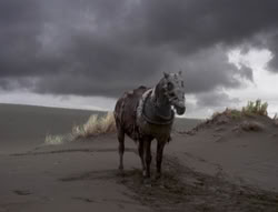 extant_XenaWarriorPrincess_4x01-AdventuresInTheSinTrade_03594