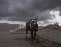 extant_XenaWarriorPrincess_4x01-AdventuresInTheSinTrade_03595