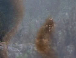 extant_XenaWarriorPrincess_4x02-AdventuresInTheSinTradeII_00011