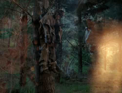 extant_XenaWarriorPrincess_4x02-AdventuresInTheSinTradeII_00023