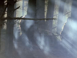 extant_XenaWarriorPrincess_4x02-AdventuresInTheSinTradeII_00074